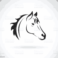 a black and white drawing of a horse 's head on a white background royalty - free