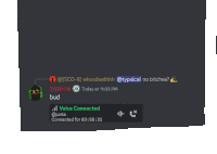 a screenshot of a discord conversation between bud and typical