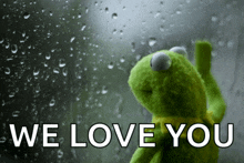 a kermit the frog looking out a window with the words we love you written below him