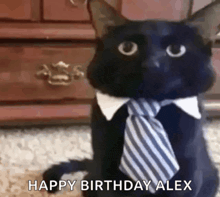 a black cat wearing a tie and a collar is sitting on the floor .