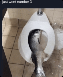 a picture of a fish in a toilet that says just went number 3 on the bottom