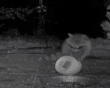 a black and white photo of a cat standing next to a white container with the letter e on it