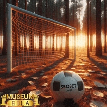 a soccer ball with the word sbobet on it