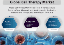 a poster titled global cell therapy market size share & trends analysis report by type