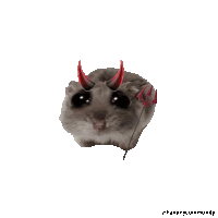 a hamster with devil horns and a trident has a white background