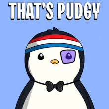 a penguin wearing a headband that says that 's pudgy on it