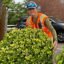 a man in an orange vest is standing next to a bush with green and yellow leaves