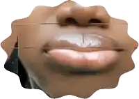 a close up of a person 's mouth with a white line between the mouth and nose
