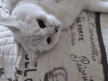 a white cat is laying on a blanket that says " et porte "