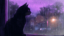 a black cat looking out of a window with rain drops