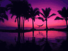 a pink and purple sunset with palm trees and a hammock in the middle