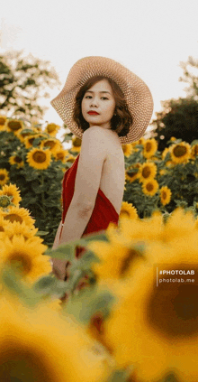 a woman in a red dress and hat stands in a field of sunflowers