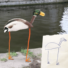 a drawing of a duck next to a picture of a duck with long legs