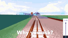 a computer generated image of train tracks with the words why you ask