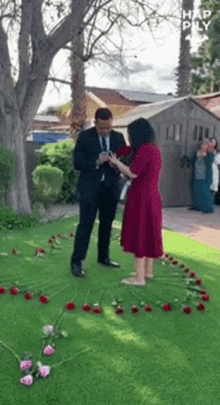 a man in a suit is proposing to a woman in a red dress in a backyard surrounded by roses .