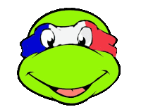 a green turtle with a red , white and blue headband