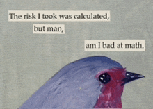 a painting of a bird with the words " the risk i took was calculated but man am i bad at math " below it