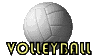 a volleyball with the word volleyball on it