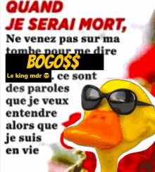 a picture of a duck wearing sunglasses with a caption in french