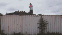 a person standing on top of a shipping container with the numbers cb u 4 2 3 1 6 4 on it