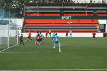 soccer players on a field with the word sport on the wall