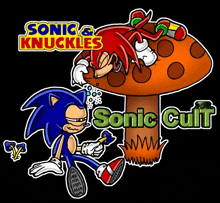 a cartoon of sonic the hedgehog and knuckles from sonic & knuckles sonic cult