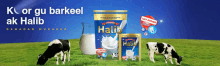 two cows are grazing in a field with a bag of halib milk in the background