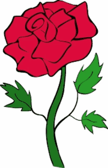 a black and white drawing of a red rose with green leaves