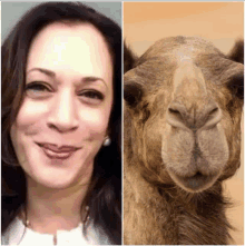 a picture of a woman and a picture of a camel are next to each other