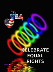 a poster that says celebrate equal rights with a rainbow colored slinky