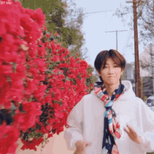 a young man wearing a scarf and a white hoodie is standing in front of a bush of red flowers .