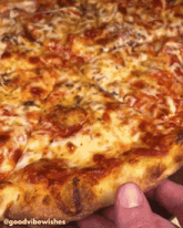 a person holding a slice of pizza with the words goodvibewishes written on the bottom