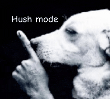 a dog is making a hush sign with its finger
