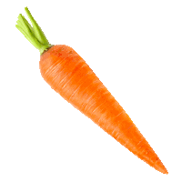 a carrot with a green stem and a white background