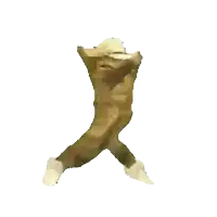 a cat wearing a cowboy hat and white socks dancing