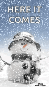 a snowman wearing a hat and scarf is standing in the snow with the words here it comes let it snow .