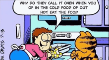 garfield is talking to a woman in a kitchen about why they call it oven when you of in the cold food out hot eat the food