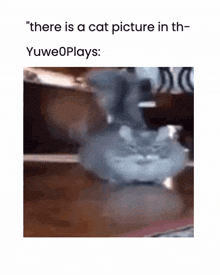 there is a cat picture in th yuweoplays