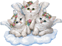 three white cats with wings and flowers on their heads