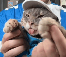 a man is holding a cat with its tongue sticking out while wearing a hat .