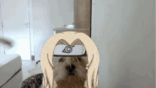 a drawing of a dog wearing a headband with a naruto symbol on it