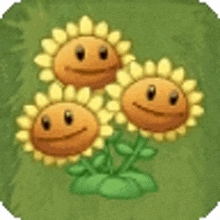 three sunflowers are sitting on top of a green plant .