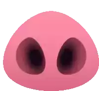 a close up of a pink pig nose with two black holes