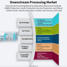 a diagram showing the downstream processing market