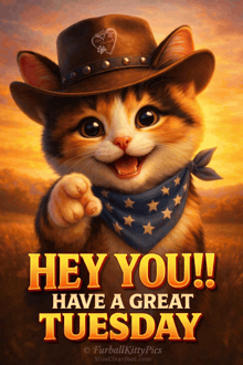 a picture of a cat wearing a cowboy hat and bandana says hey you have a great tuesday