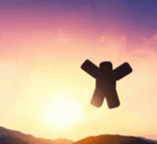 a silhouette of a person is flying in the air at sunset .
