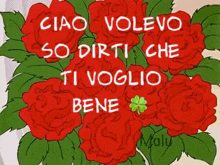 a bouquet of red roses with the words ciao volevo so dirti che ti voglio bene written on it