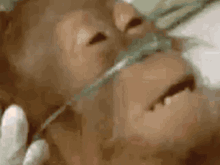 a close up of a person 's face with an oxygen mask