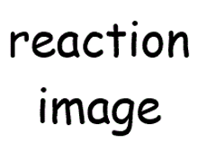 the word reaction is written in black on a white background