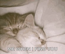 a kitten is sleeping under a blanket with the words me when i find you below it